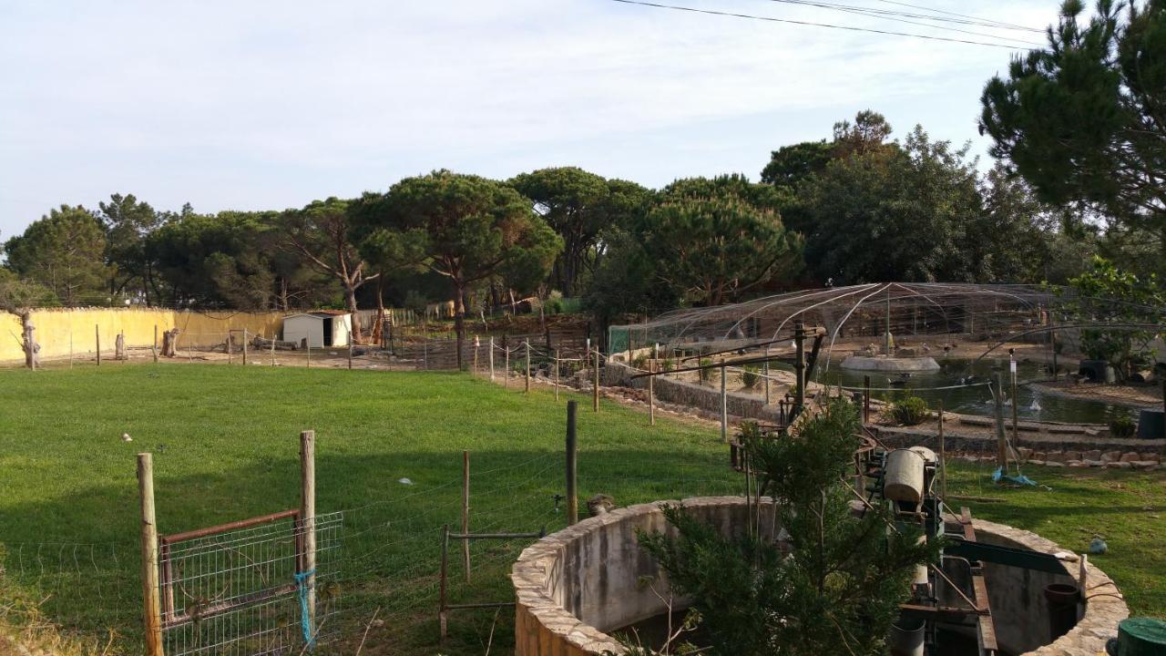Quinta Vita - Vila Pera อัลมันซิล ภายนอก รูปภาพ
