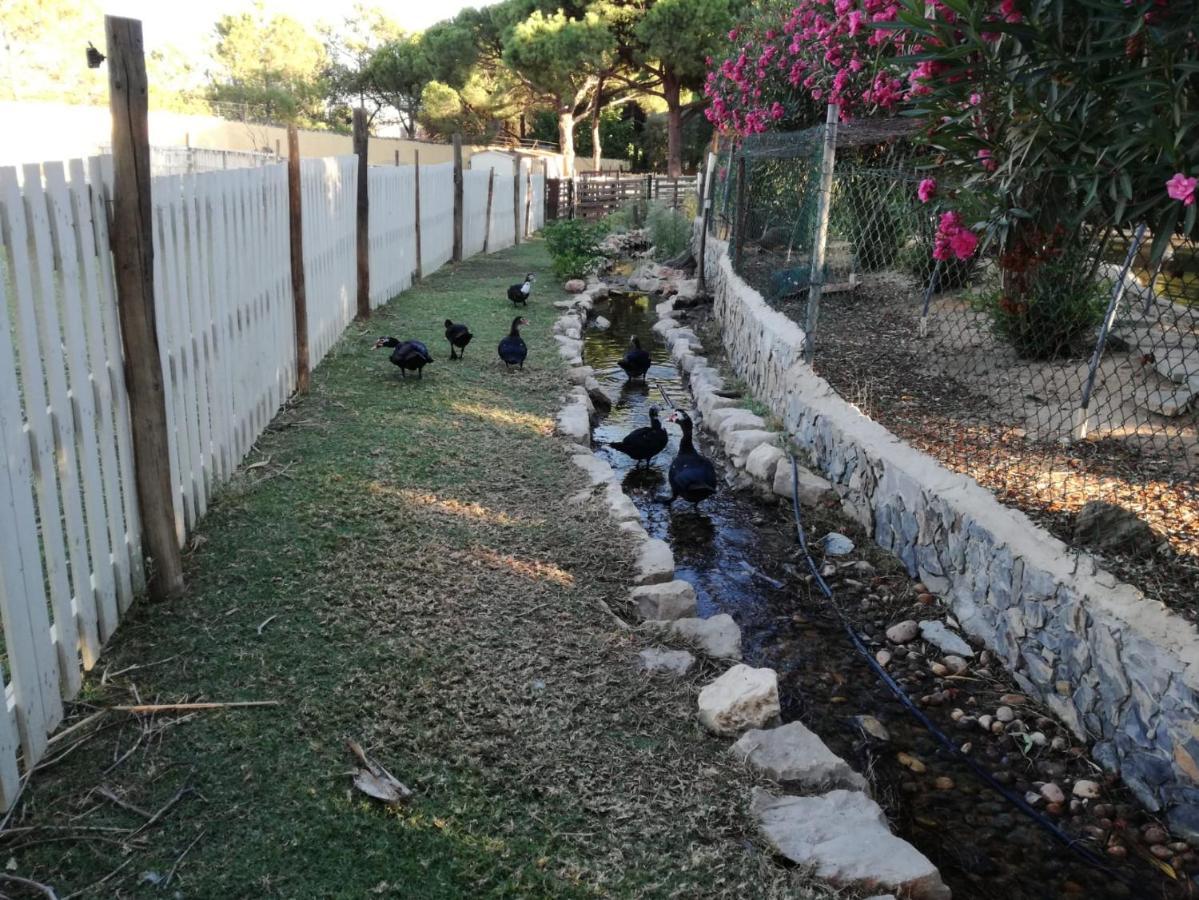 Quinta Vita - Vila Pera อัลมันซิล ภายนอก รูปภาพ