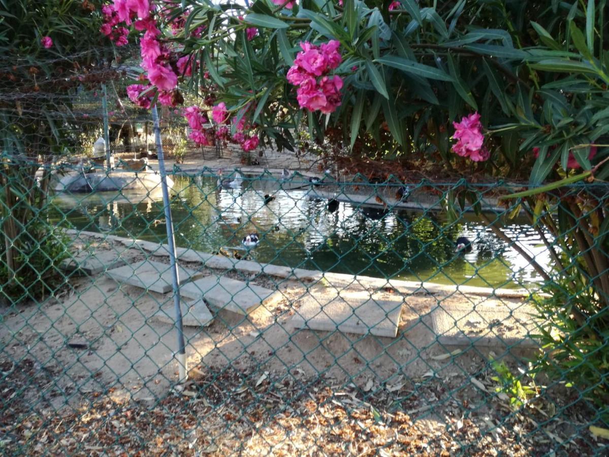 Quinta Vita - Vila Pera อัลมันซิล ภายนอก รูปภาพ