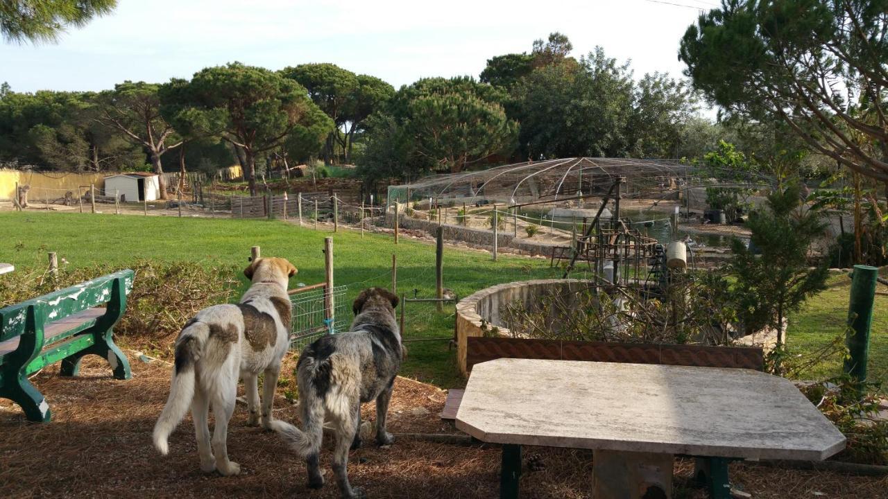 Quinta Vita - Vila Pera อัลมันซิล ภายนอก รูปภาพ