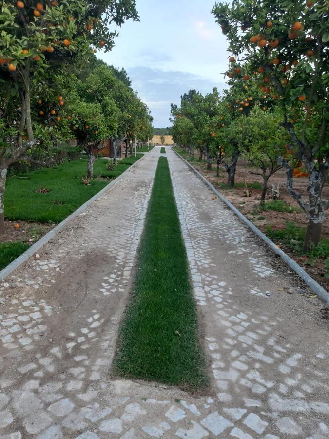 Quinta Vita - Vila Pera อัลมันซิล ภายนอก รูปภาพ
